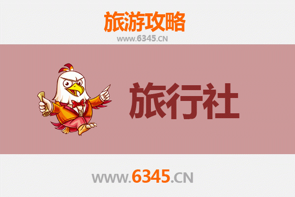 渭南大荔旅行社精选推荐：探索黄河湿地与历史文化的完美向导