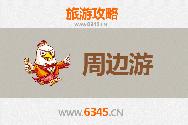 渭南大荔周边游攻略：探秘黄河湿地与千年古韵